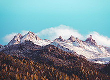 NBA-詹姆斯失绝杀班凯罗36+10 湖人不敌魔术