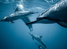 开云体育官方网址：开启信赖与激情并存的体育娱乐新纪元